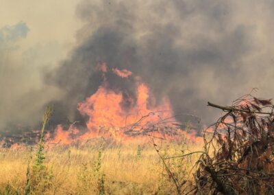 Scorched: rising natural disasters hit insurer’s profit