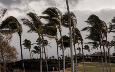 Hurricane Lala bears down on Hawaii’s Big Island