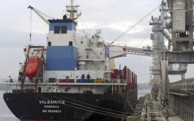 Russia, Ukraine’s Black Sea grain exports grind to halt