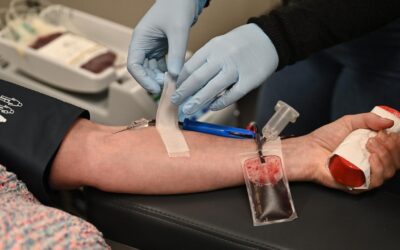 Blood products group in the red as ‘reset year’ sets in
