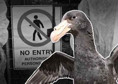 Mass deaths in two states heightens bird flu alarm