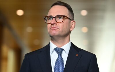 Senior Liberal rebuked for freelancing on migration