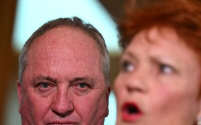 ‘Basic facts’: One Nation slammed for migration muddle
