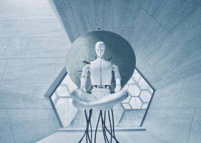 Palantir is inside the House. Surveillance and the NDIS