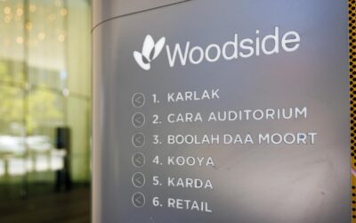 Woodside profit surges as it cuts new energy plans