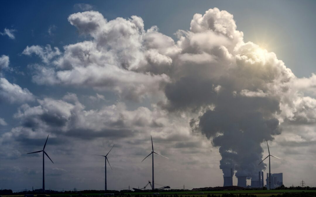 NDAs for NFPs? Environmental groups hide funding from carbon credits advocate