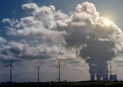 NDAs for NFPs? Environmental groups hide funding from carbon credits advocate