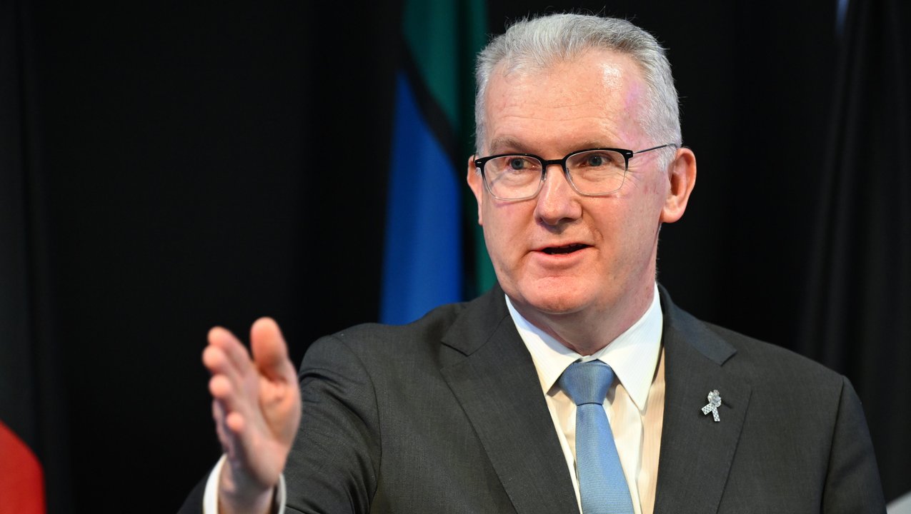 Home Affairs Minister Tony Burke