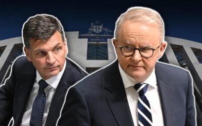 ‘Back to work’: Labor to lock in gambling, NDIS changes