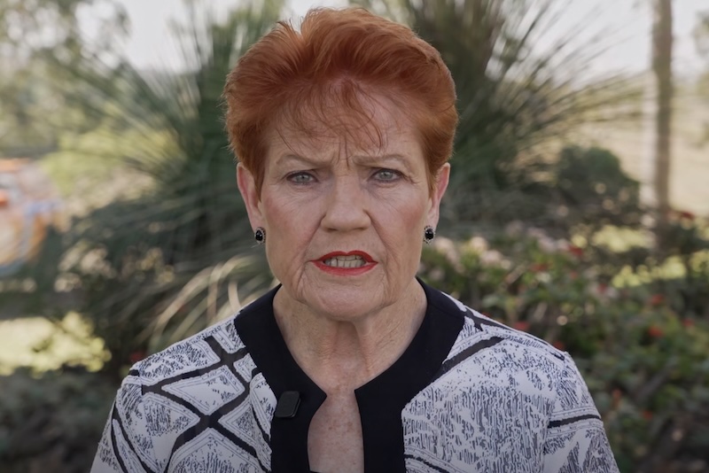 Pauline determined. Image: Pauline Hanson One Nation Facebook