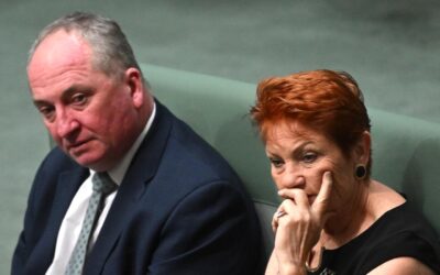‘Lying cowards’: Liberal MP unloads on Hanson and Joyce