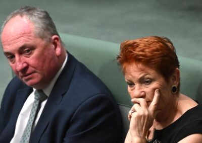 ‘Lying cowards’: Liberal MP unloads on Hanson and Joyce