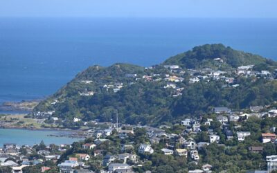 NZ to allow wealthy migrants to build rental housing