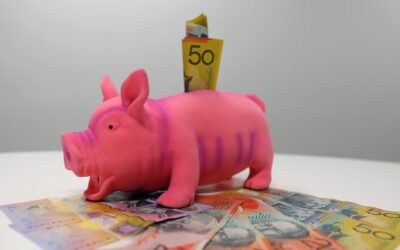 ‘It’s your own money’: One Nation push for early super