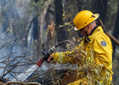 ‘Bloody dangerous’: world to exceed 1.5-degree warming