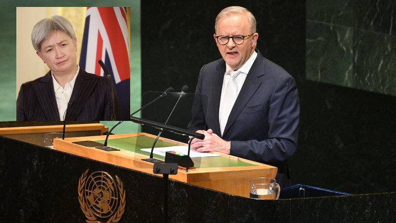 Anthony Albanese and Penny Wong
