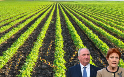 One Nation and the myth of a monoculture that doesn’t exist