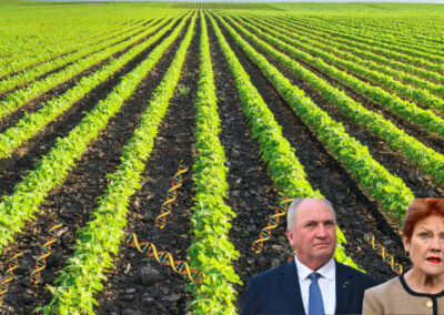 One Nation and the myth of a monoculture that doesn’t exist