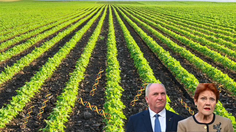 Monoculture
