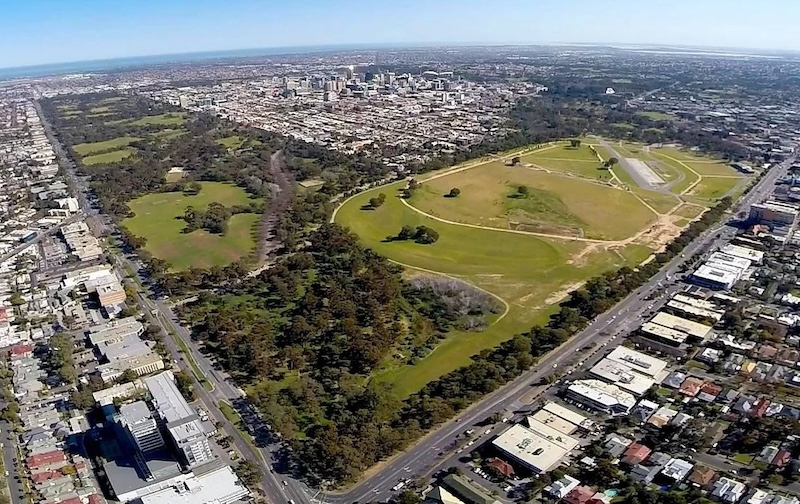 Great spot for a MotoGP? Photo: Adelaide Park Lands Association