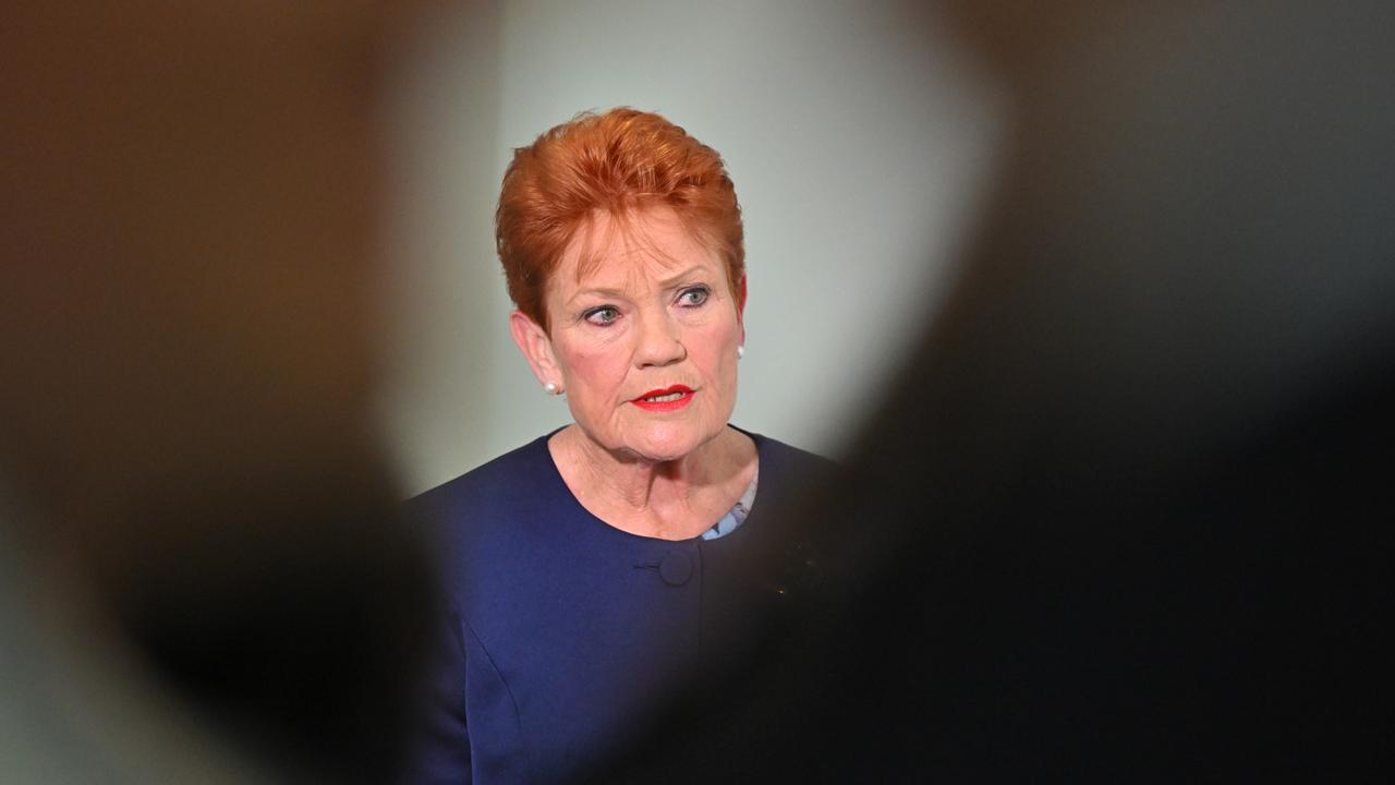 One Nation leader Pauline Hanson (file image)