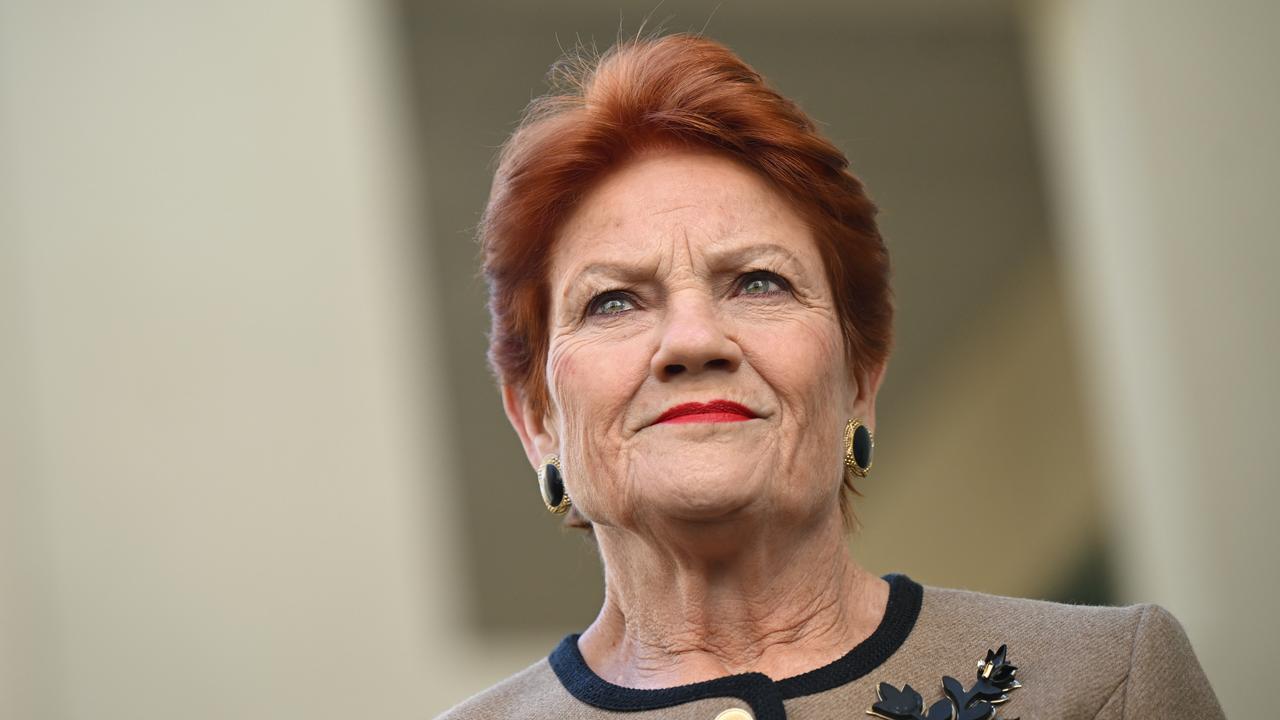 One Nation leader Pauline Hanson