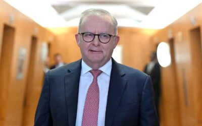 Australia urges slowdown of AI race in global statement