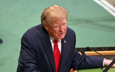 Albanese at odds with Trump on calls to slow down AI