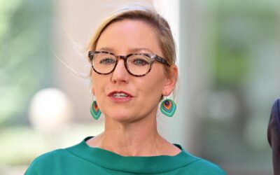 Greens leader suddenly quits after health ‘downturn’