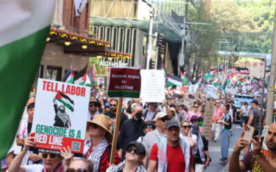 The pro-Palestine movement is winning beyond the court of public opinion