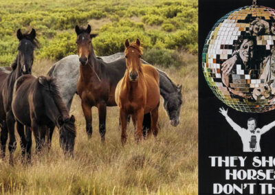 “They Shoot Horses, Don’t They?” In the Snowies they do