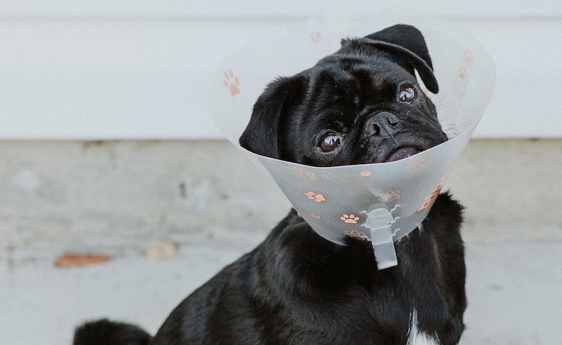 Image: Priscilla du Preez, Unsplash