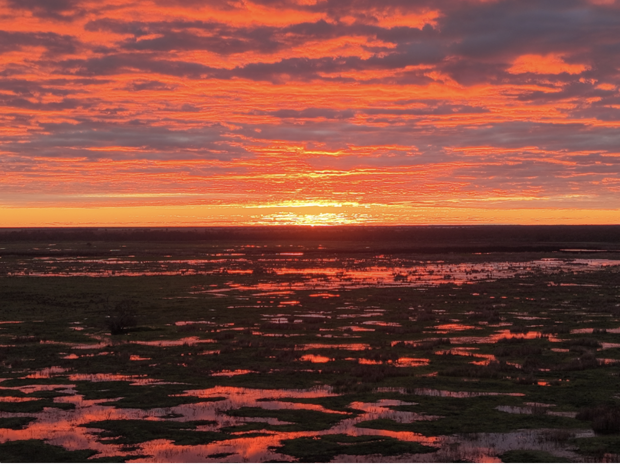 Sunrise over the Macquarie Marshes