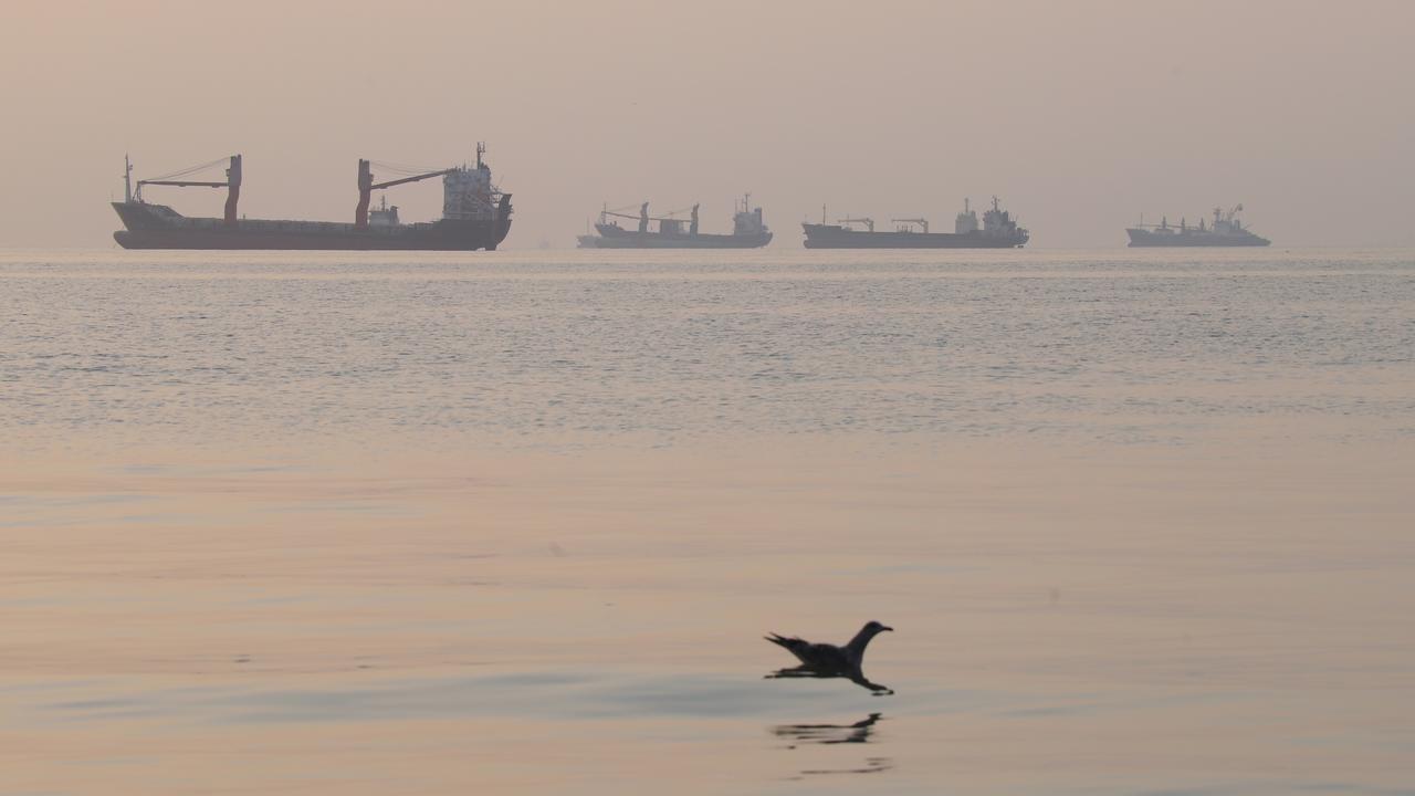 Cargo ships in Strait of Hormuz