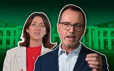 ‘Angry’ Greens chief says Labor leaving voters in lurch