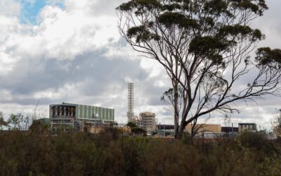Australian rare earth miners in $1 billion tie-up