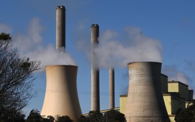 AGL Energy envisages huge opportunity in data centres