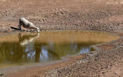 Warning El Nino could wipe $13b from Australian economy