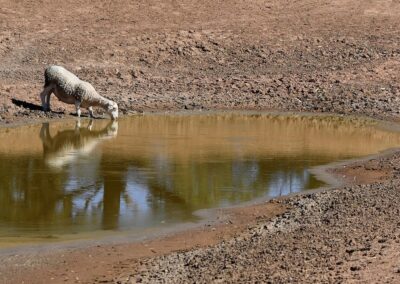 Warning El Nino could wipe $13b from Australian economy