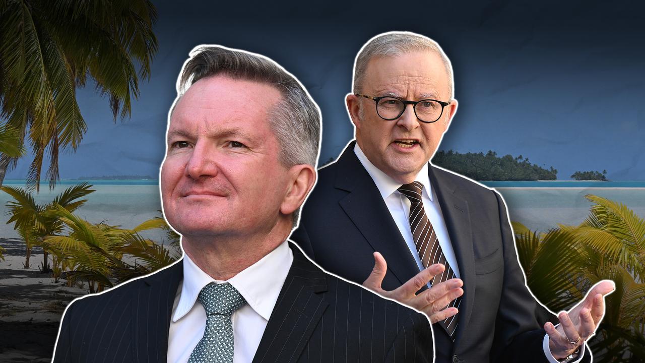 Chris Bowen and Anthony Albanese (file image)