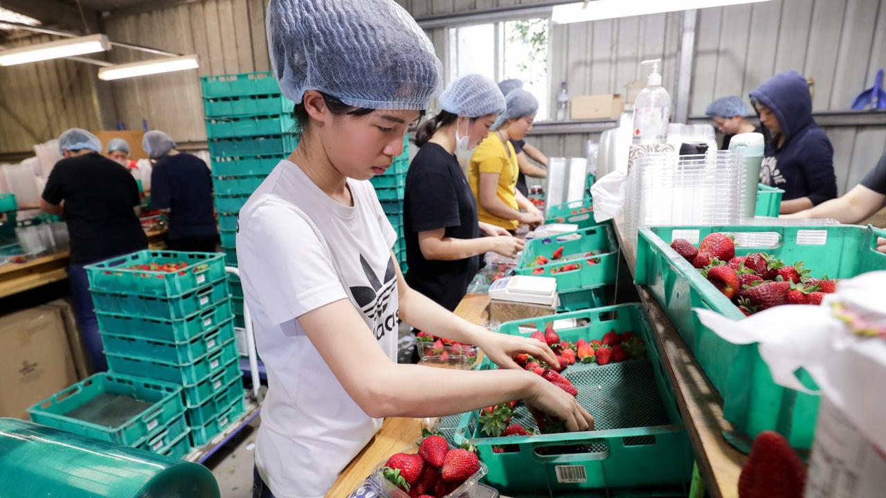 workers 