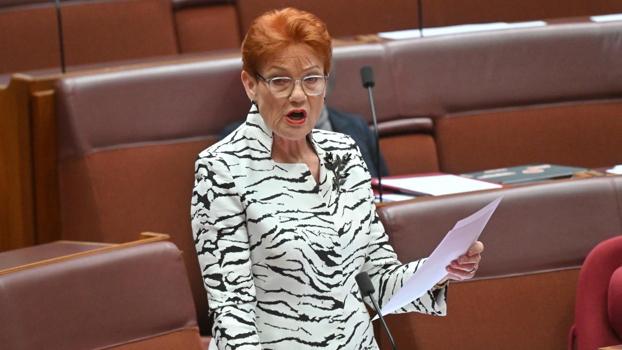 One Nation leader Pauline Hanson (file image)