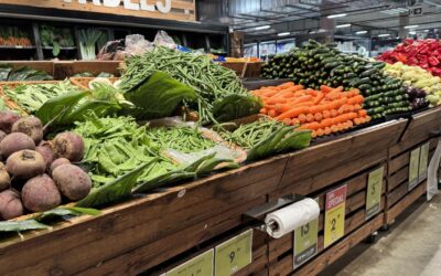 Greens vow New York-style state-owned supermarket trial