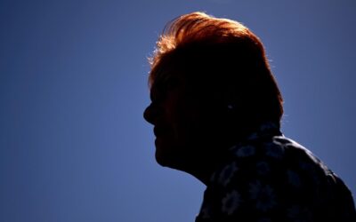 ‘No time for him’: Hanson gives her Liberal leader pick