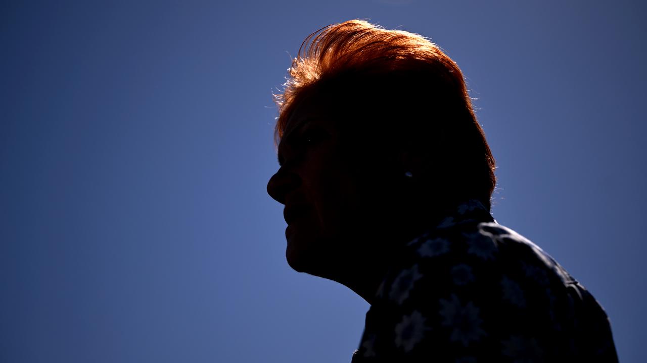 ‘No time for him’: Hanson gives her Liberal leader pick