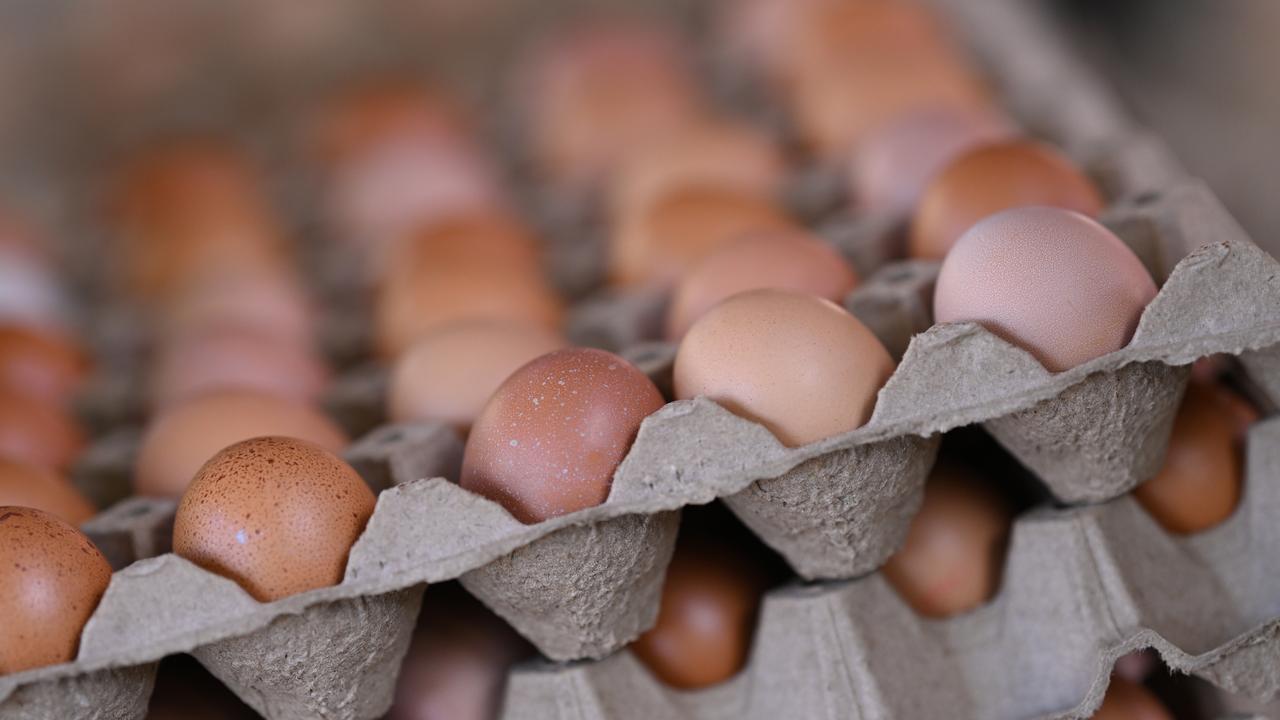 ACCC launches legal action against eggs suppliers.