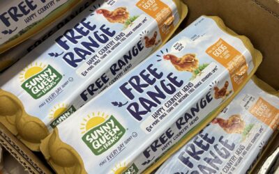 Consumer watchdog cracks down on alleged egg cartel
