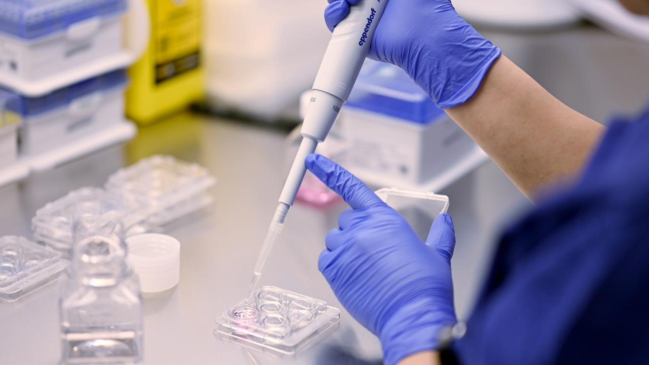 IVF stock