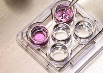 Prisoner’s landmark egg freezing win in High Court