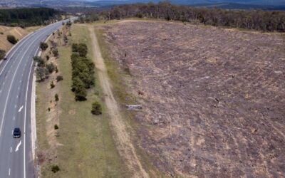 Big bank rejects push to end financing of land clearing